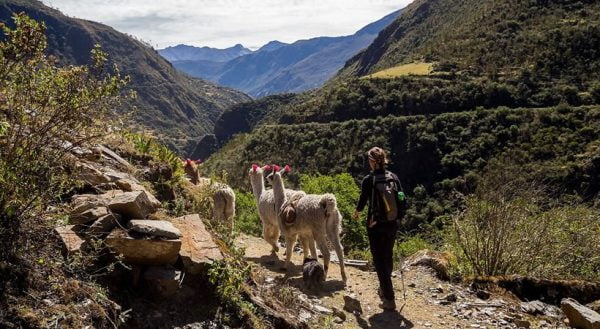 TREKKING SALKANTAY TO MACHU PICCHU (5 Days)