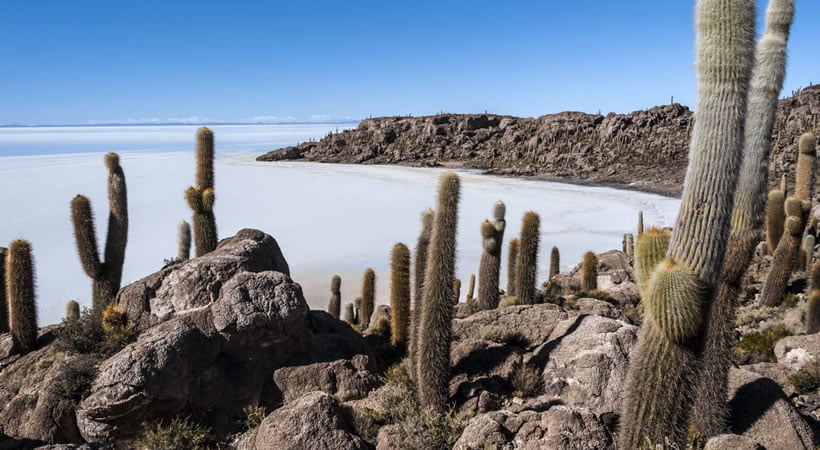 UYUNI – COLCHANI – FISH ISLAND – SHARED FULL DAY UYUNI