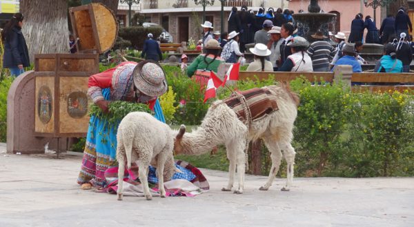 TREKKING: PUNO – COLCA CANYON – PUNO (3D/2N) GROUP SERVICE